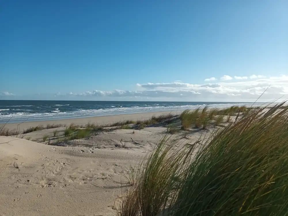 Traumasensible Körpertherapie