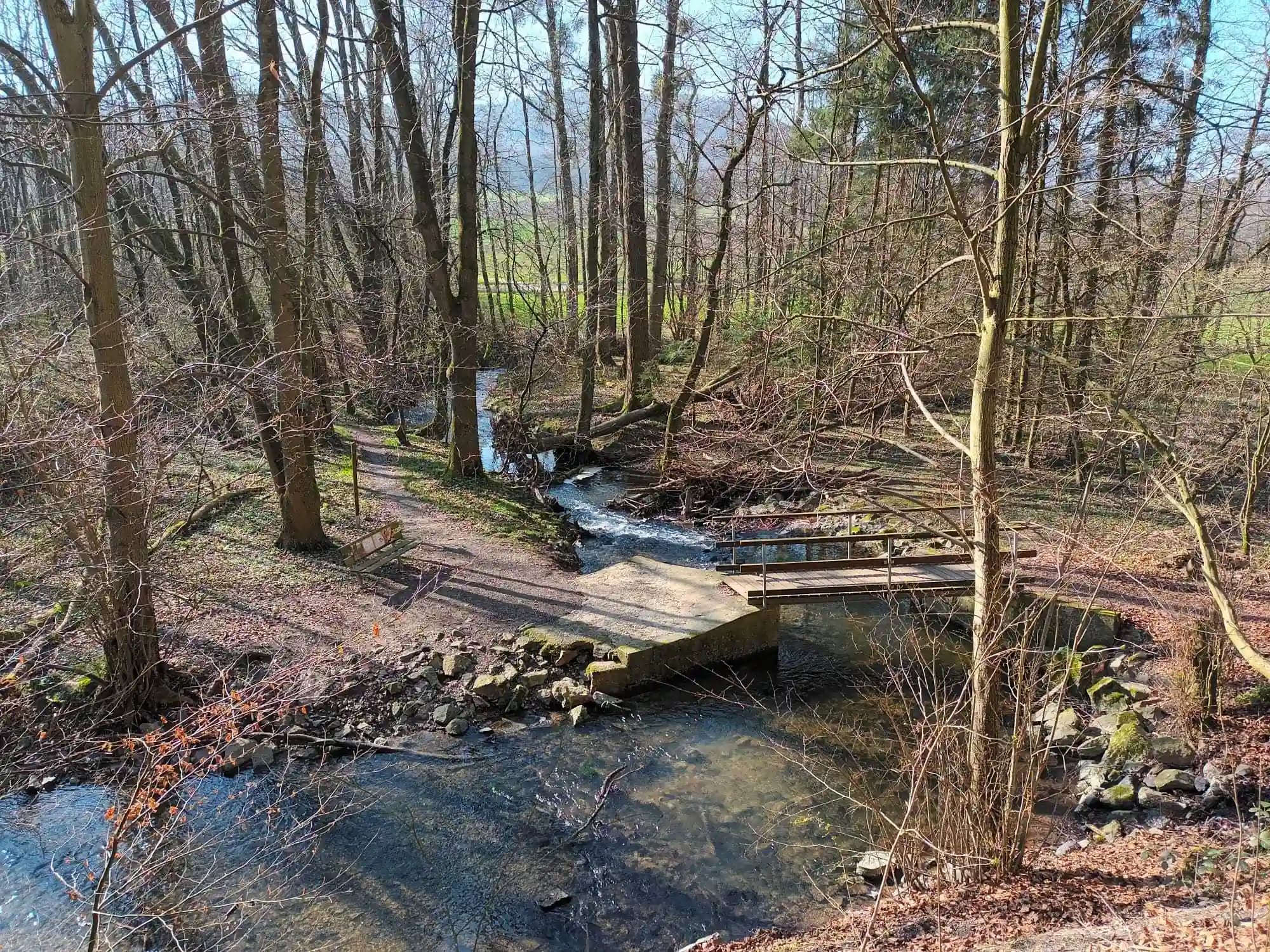 Green Meditation - Achtsamkeit in der Natur